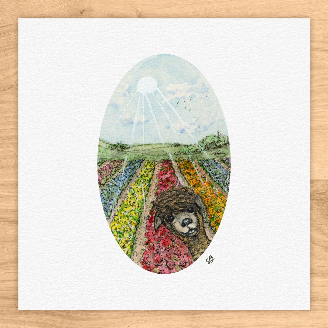 Alpaca In Flower Field Tiny Art Watercolor Print