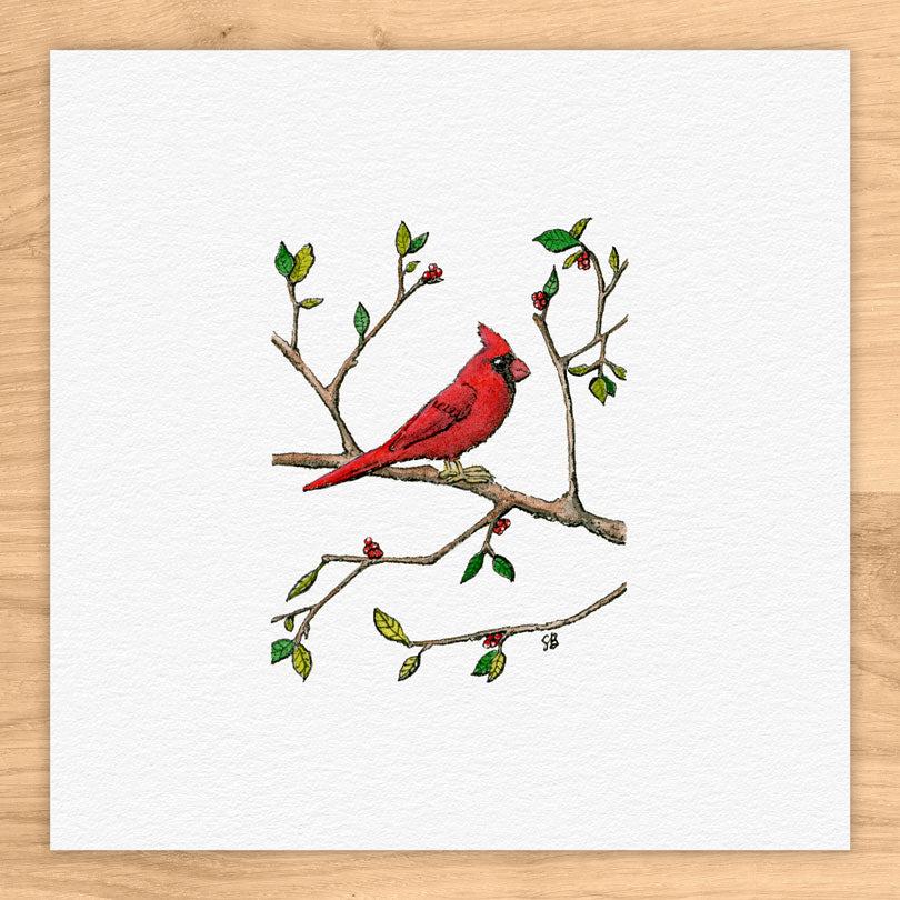 Cardinal On Branch Tiny Art Watercolor Print