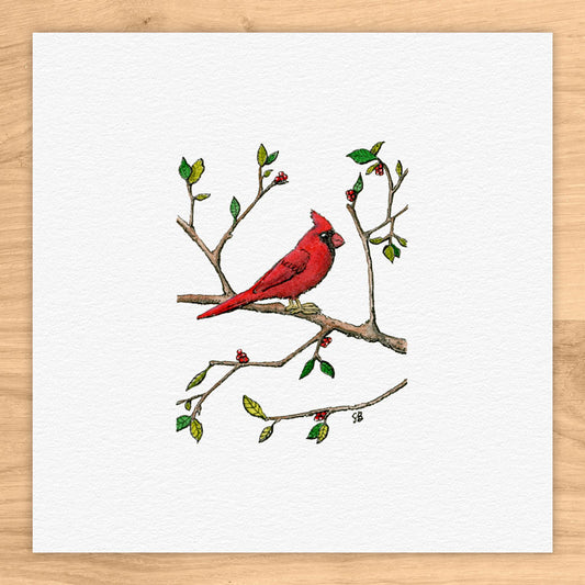 Cardinal On Branch Tiny Art Watercolor Print