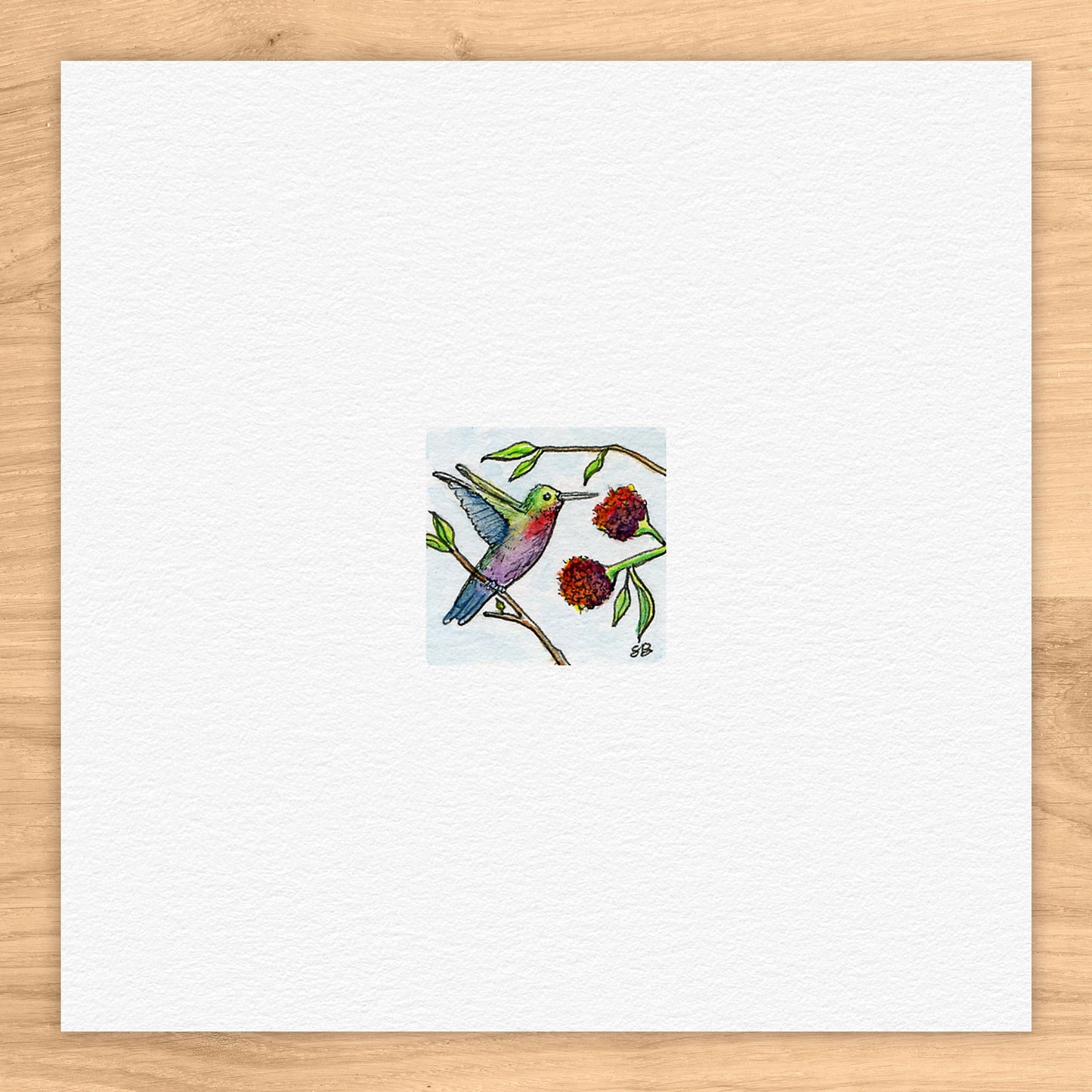 Hummingbird Watercolor Print