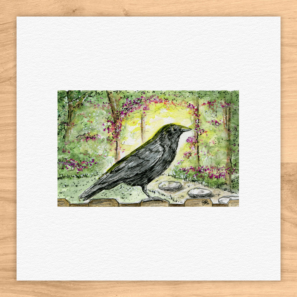 Crow On Fence Abduction Watercolor Print