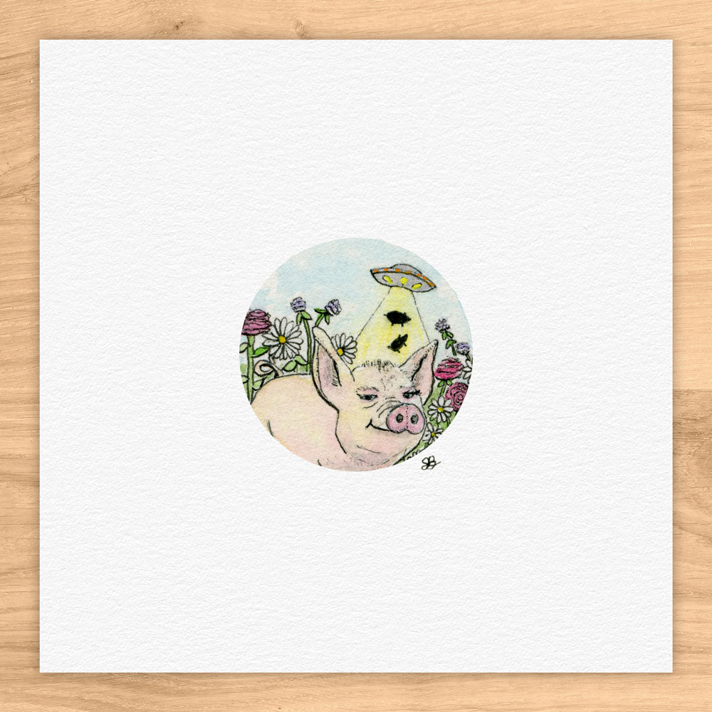 Pig Abduction Watercolor Print